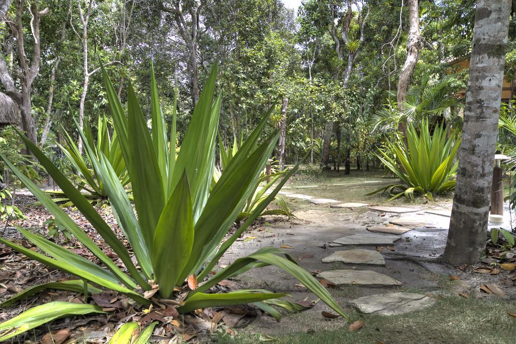 Village Mata Encantada سانت أندري المظهر الخارجي الصورة